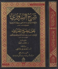 Şerhü's-Süruri ala Misbahi'l-Mutarrizi - شرح السروري على مصباح المطرزي